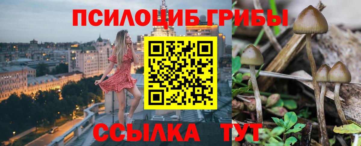 Грязи  Галлюциногенные грибы мухоморы  Вход с VPN 