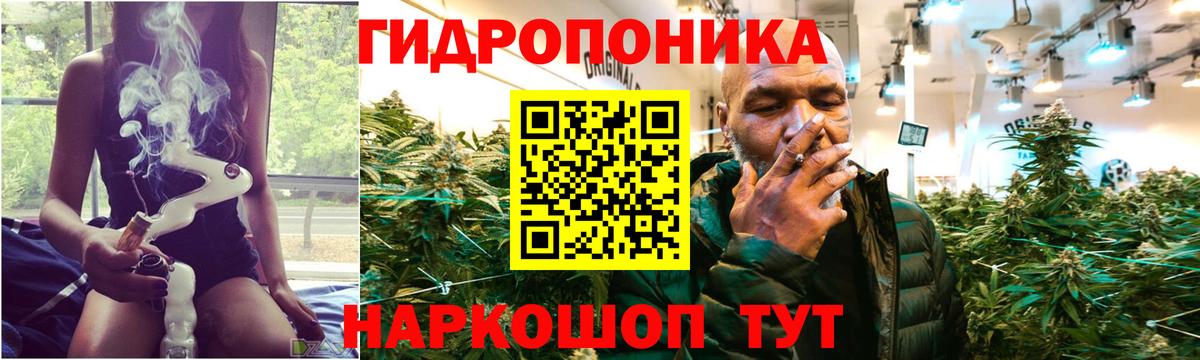 Конопля MAZAR Грязи